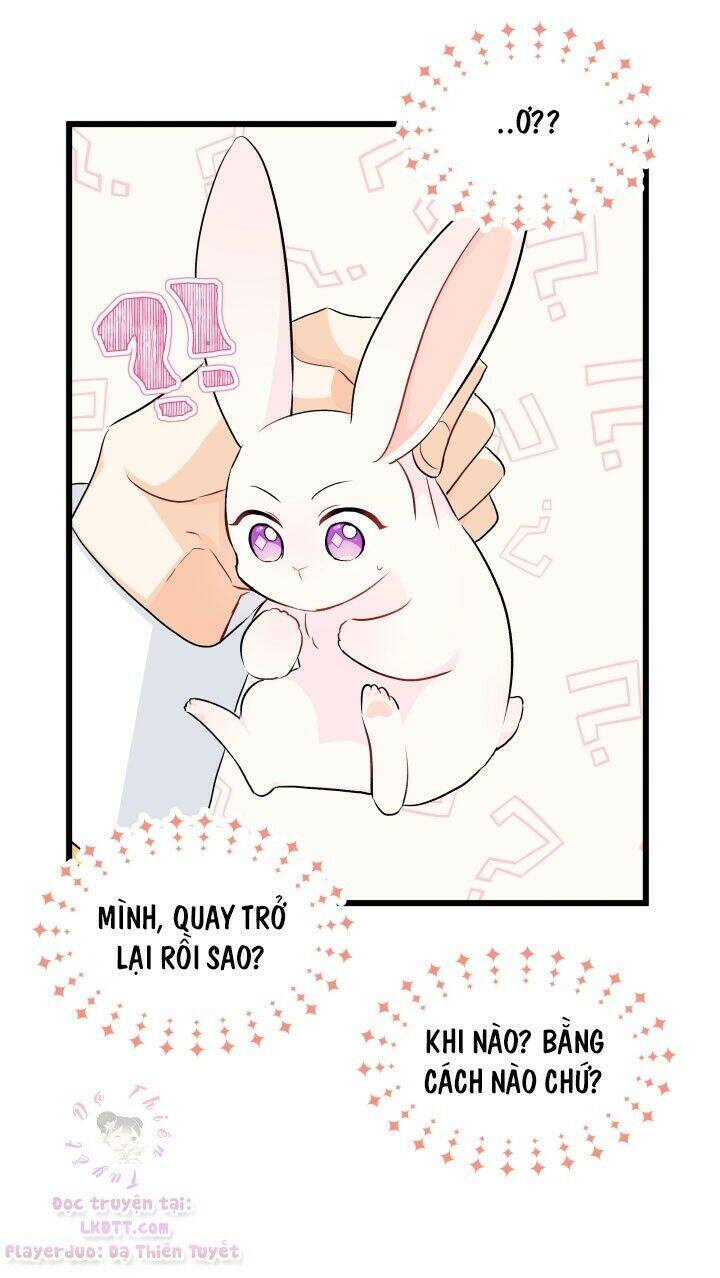 Mối Liên Kết Giữa Báo Đen Và Bé Thỏ Chap 21 - Next Chap 22