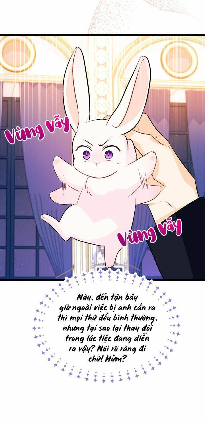 Mối Liên Kết Giữa Báo Đen Và Bé Thỏ Chap 22 - Next Chap 23