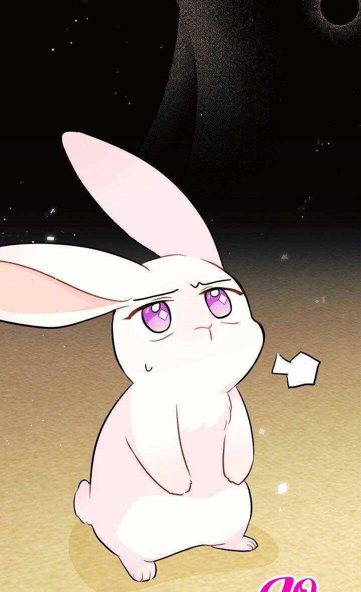 Mối Liên Kết Giữa Báo Đen Và Bé Thỏ Chap 22 - Next Chap 23