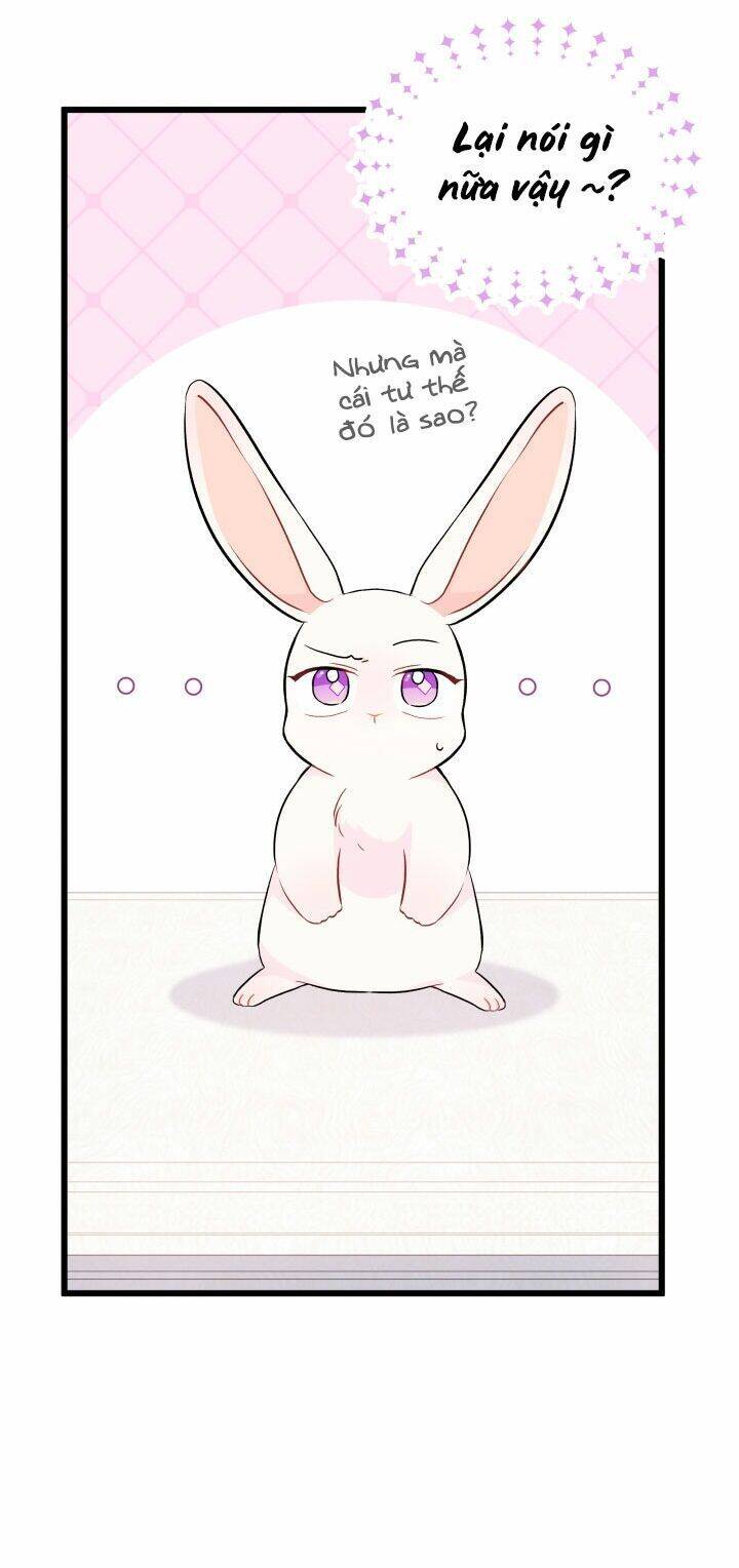 Mối Liên Kết Giữa Báo Đen Và Bé Thỏ Chap 22 - Next Chap 23