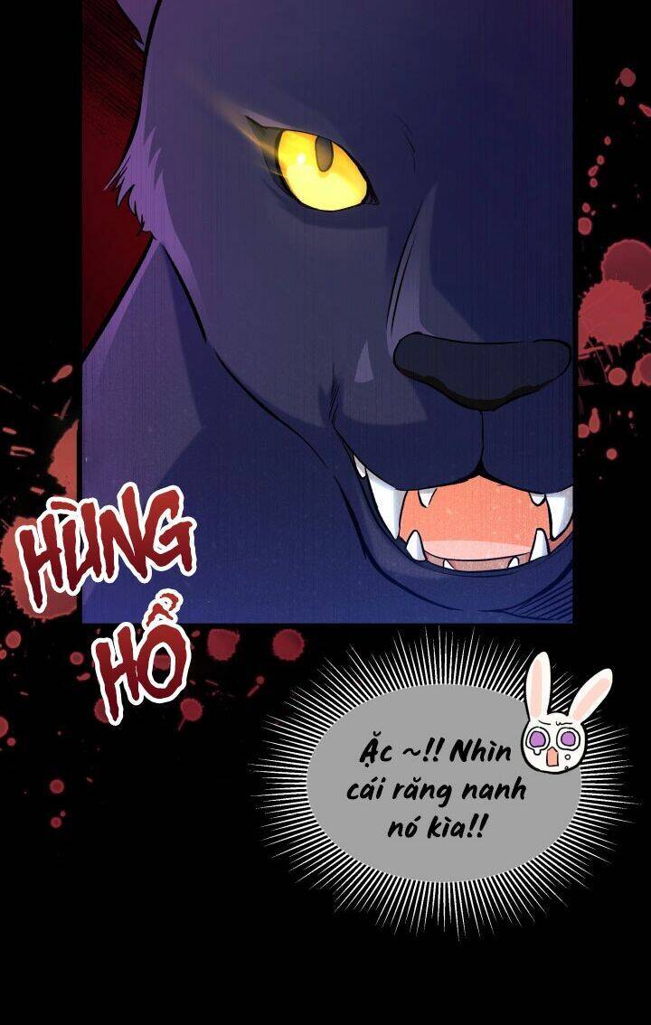 Mối Liên Kết Giữa Báo Đen Và Bé Thỏ Chap 23 - Next Chap 24