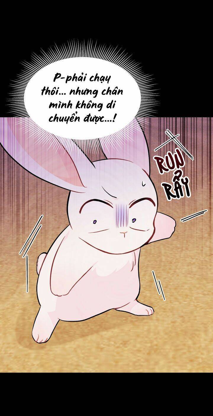 Mối Liên Kết Giữa Báo Đen Và Bé Thỏ Chap 23 - Next Chap 24