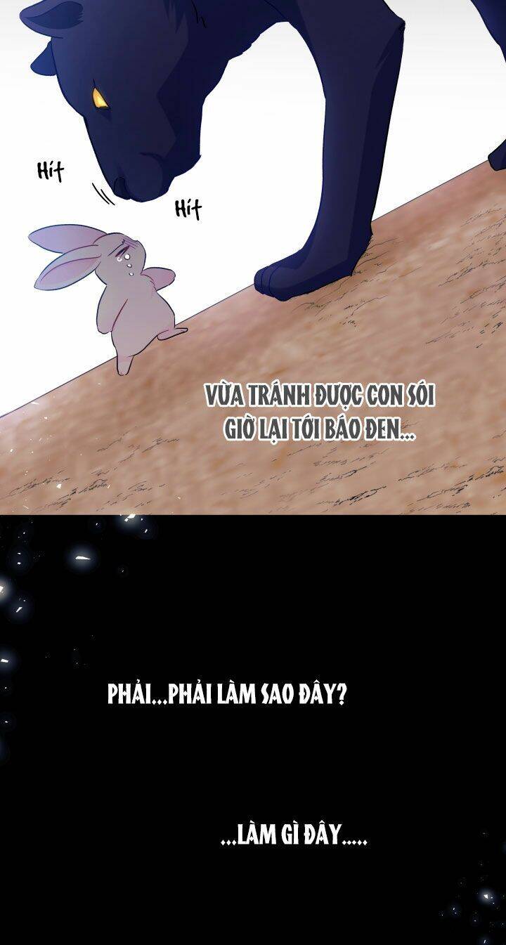 Mối Liên Kết Giữa Báo Đen Và Bé Thỏ Chap 23 - Next Chap 24
