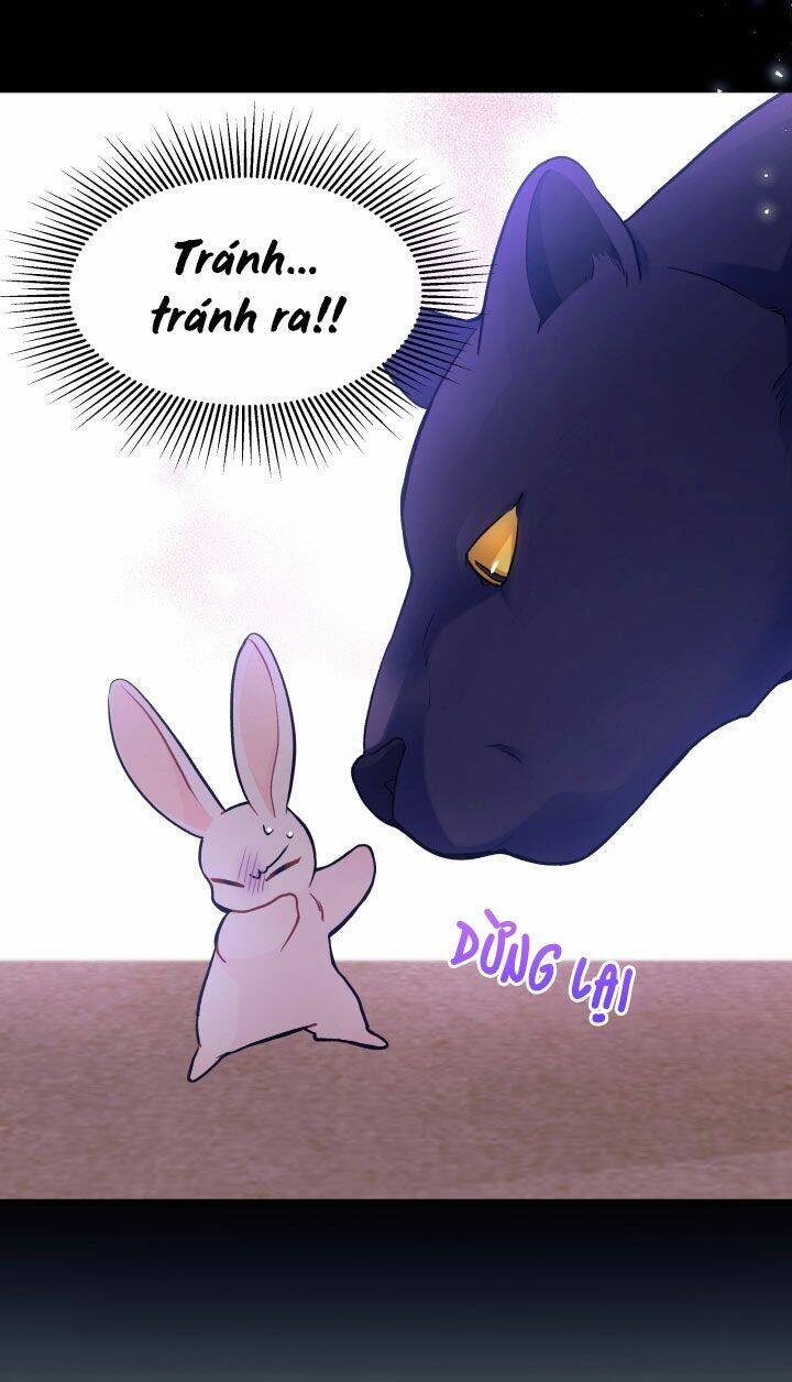 Mối Liên Kết Giữa Báo Đen Và Bé Thỏ Chap 23 - Next Chap 24