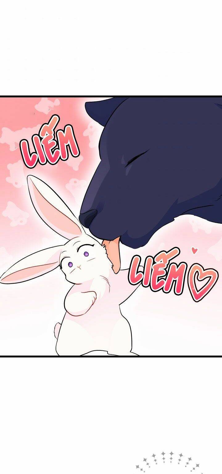 Mối Liên Kết Giữa Báo Đen Và Bé Thỏ Chap 23 - Next Chap 24