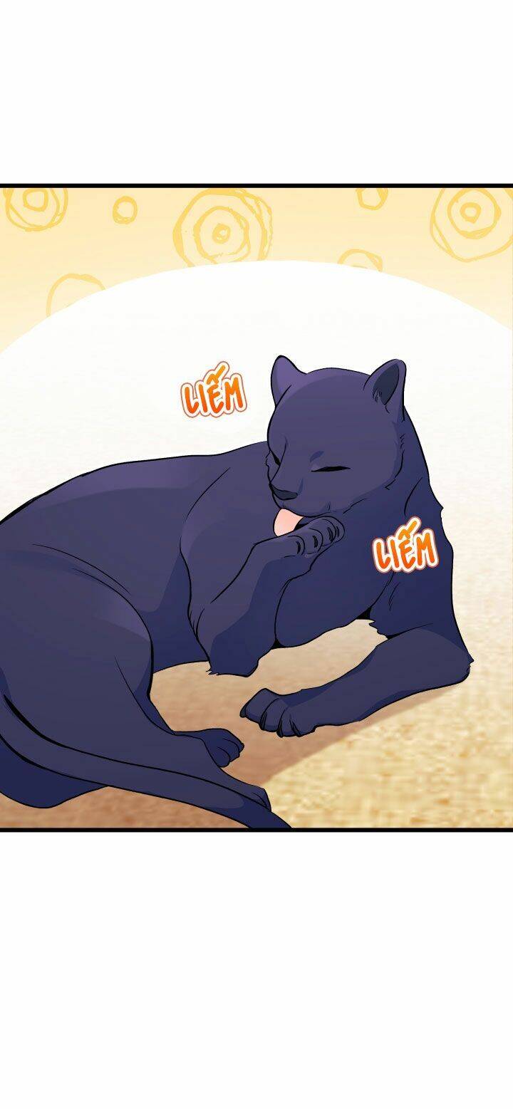 Mối Liên Kết Giữa Báo Đen Và Bé Thỏ Chap 23 - Next Chap 24