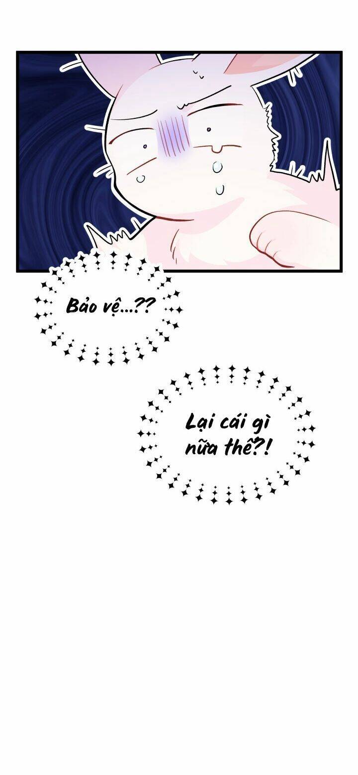 Mối Liên Kết Giữa Báo Đen Và Bé Thỏ Chap 23 - Next Chap 24