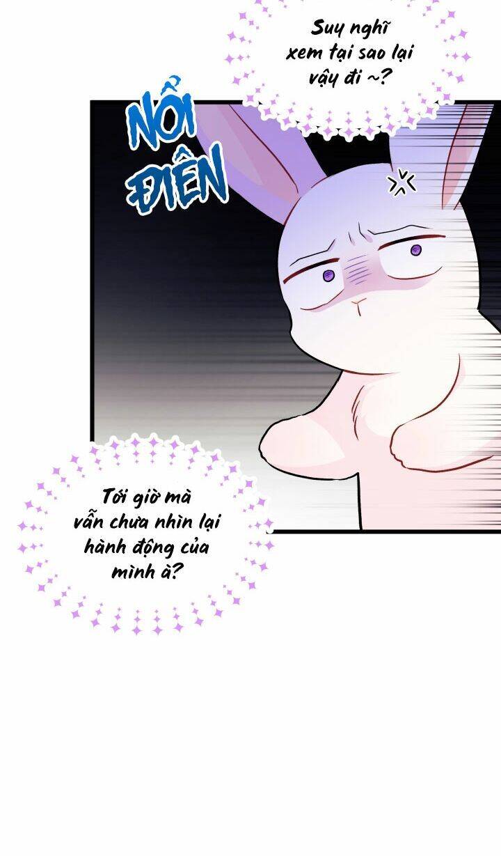 Mối Liên Kết Giữa Báo Đen Và Bé Thỏ Chap 23 - Next Chap 24