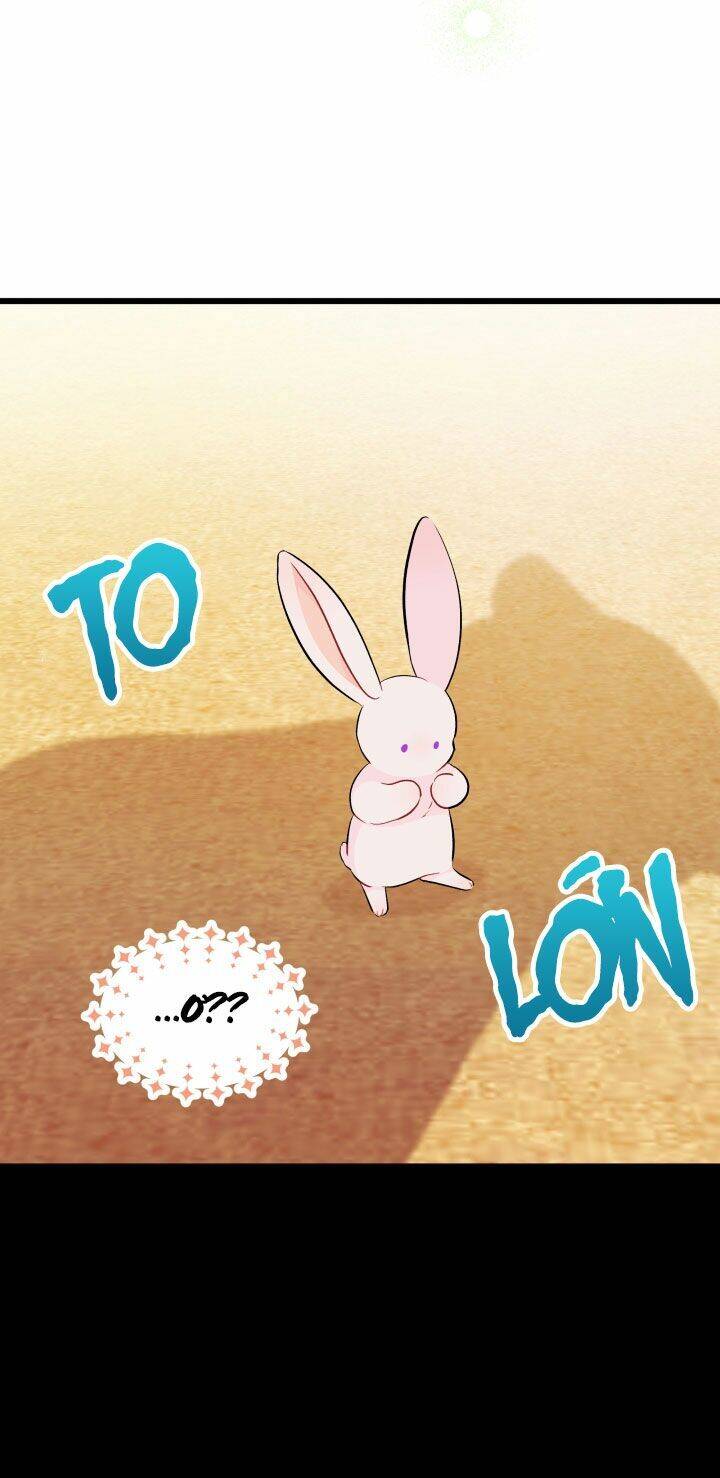 Mối Liên Kết Giữa Báo Đen Và Bé Thỏ Chap 23 - Next Chap 24