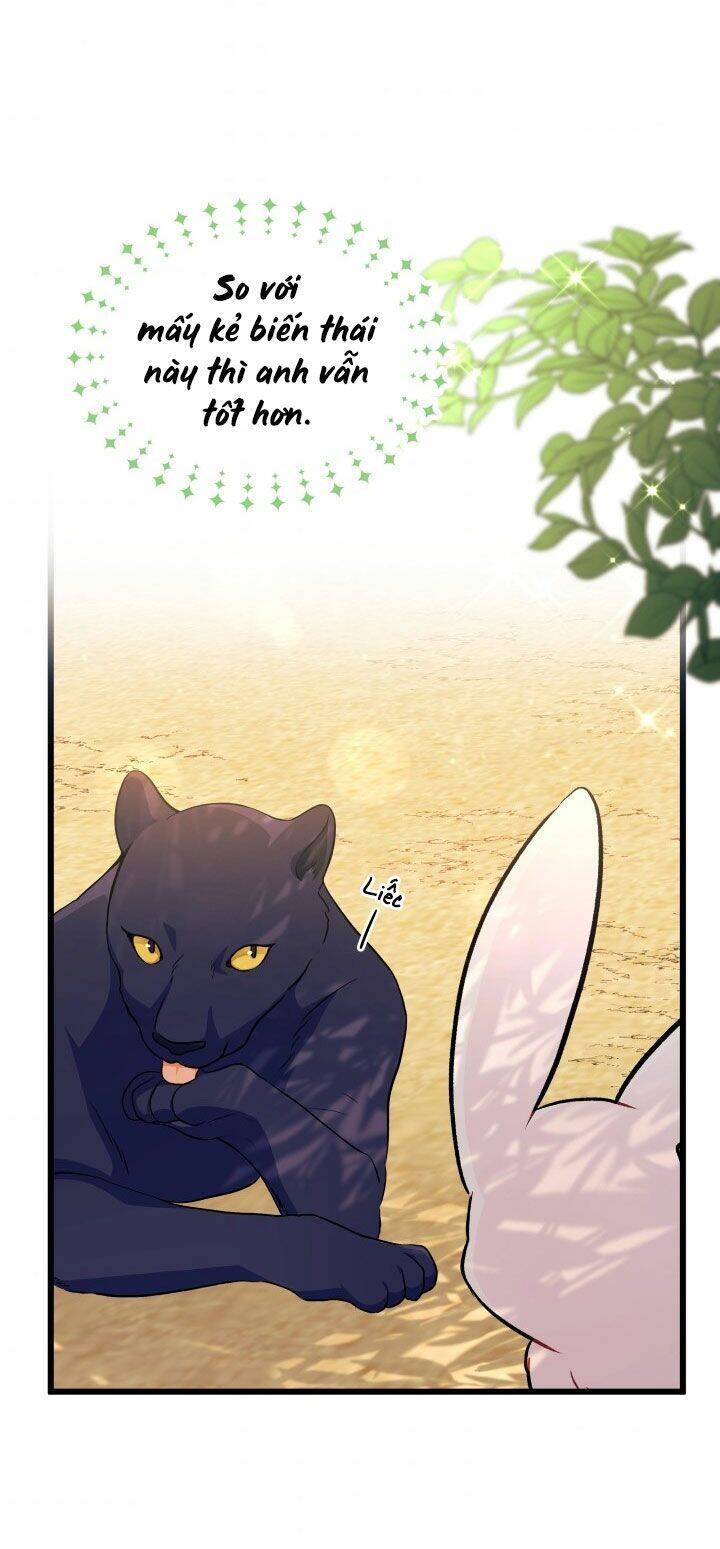 Mối Liên Kết Giữa Báo Đen Và Bé Thỏ Chap 23 - Next Chap 24