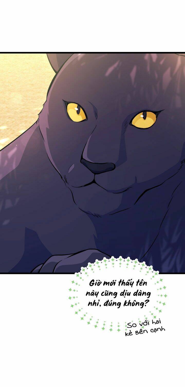 Mối Liên Kết Giữa Báo Đen Và Bé Thỏ Chap 23 - Next Chap 24