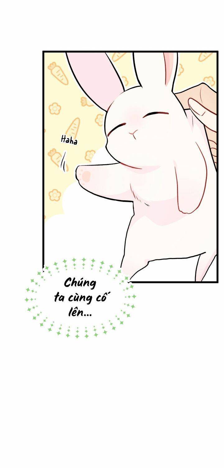 Mối Liên Kết Giữa Báo Đen Và Bé Thỏ Chap 23 - Next Chap 24