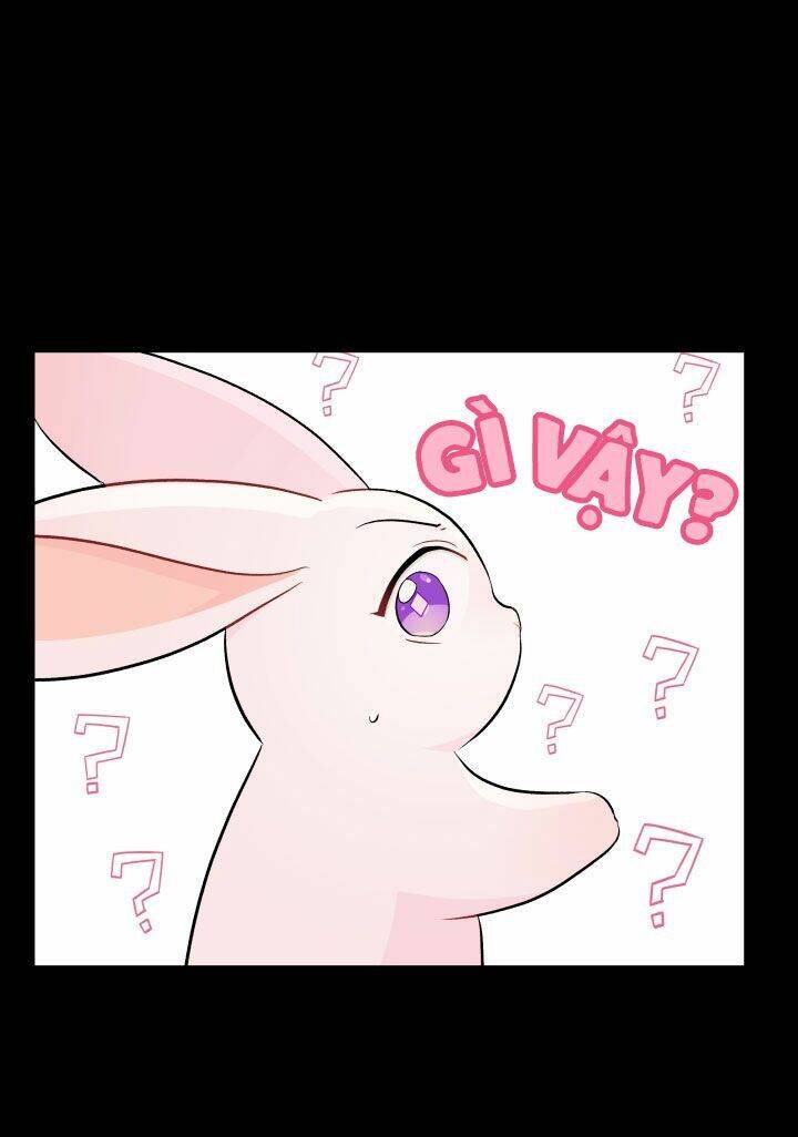 Mối Liên Kết Giữa Báo Đen Và Bé Thỏ Chap 23 - Next Chap 24