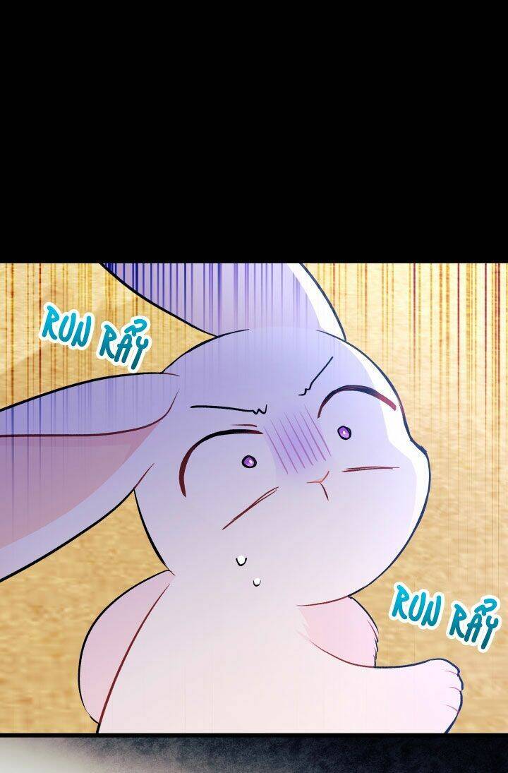 Mối Liên Kết Giữa Báo Đen Và Bé Thỏ Chap 23 - Next Chap 24