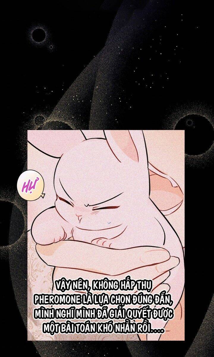 Mối Liên Kết Giữa Báo Đen Và Bé Thỏ Chap 24 - Next Chap 25