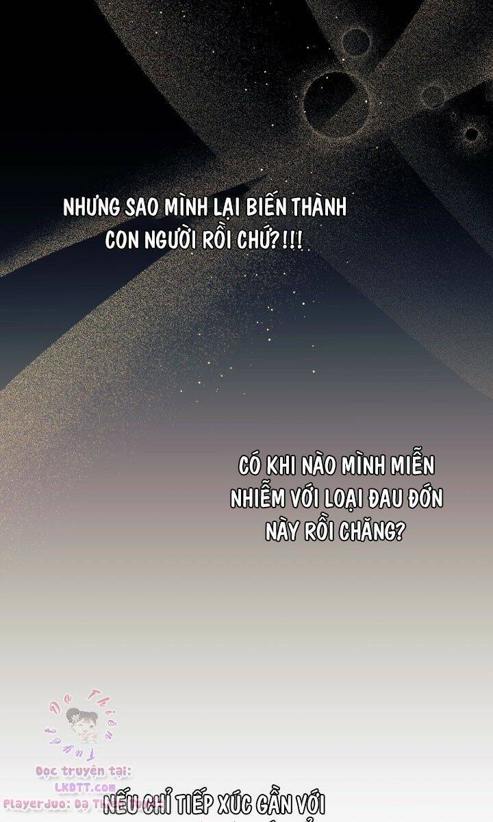 Mối Liên Kết Giữa Báo Đen Và Bé Thỏ Chap 24 - Next Chap 25