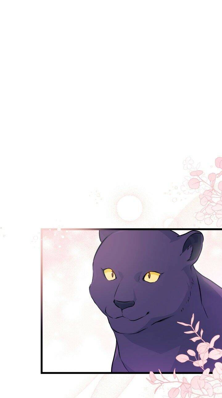 Mối Liên Kết Giữa Báo Đen Và Bé Thỏ Chap 24 - Next Chap 25