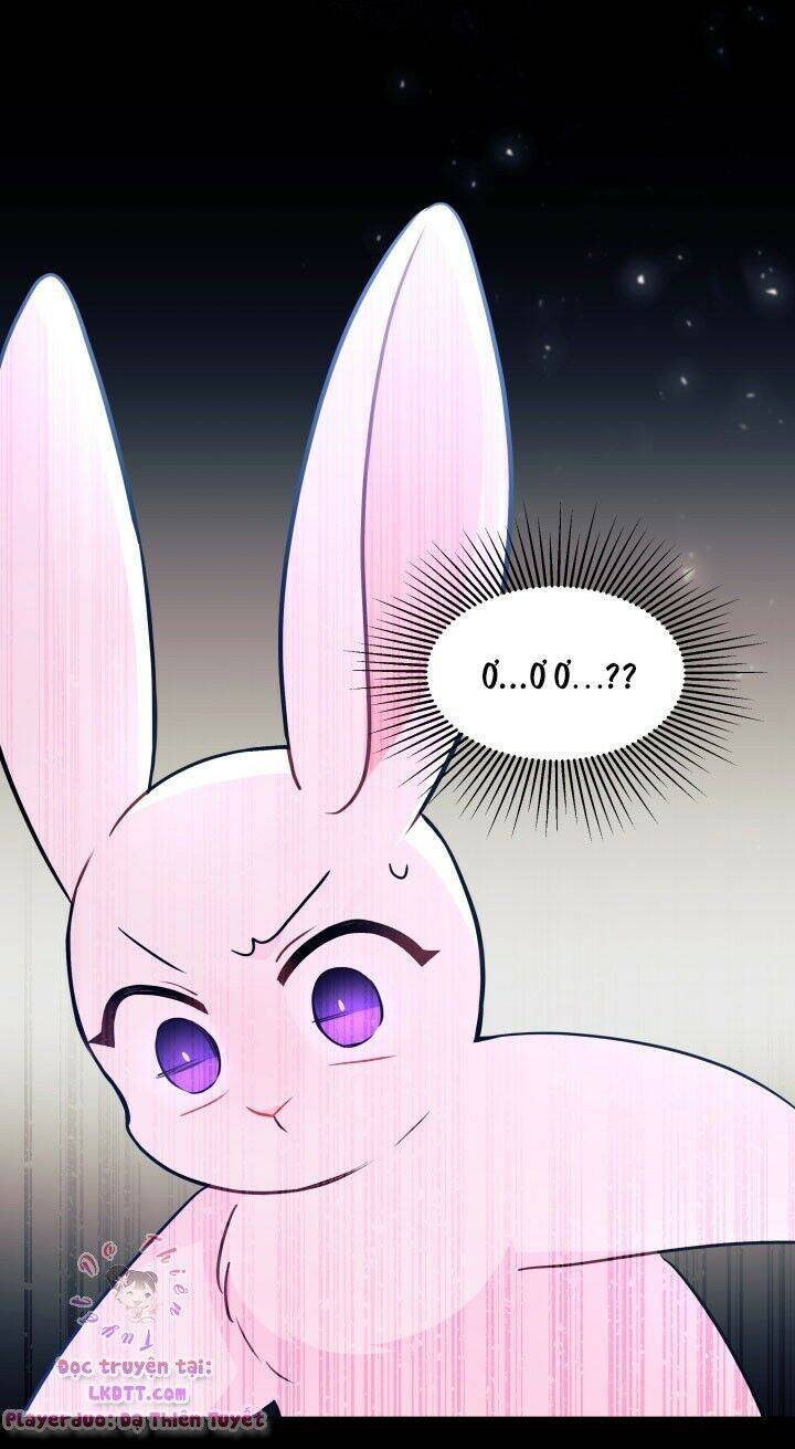 Mối Liên Kết Giữa Báo Đen Và Bé Thỏ Chap 25 - Next Chap 26
