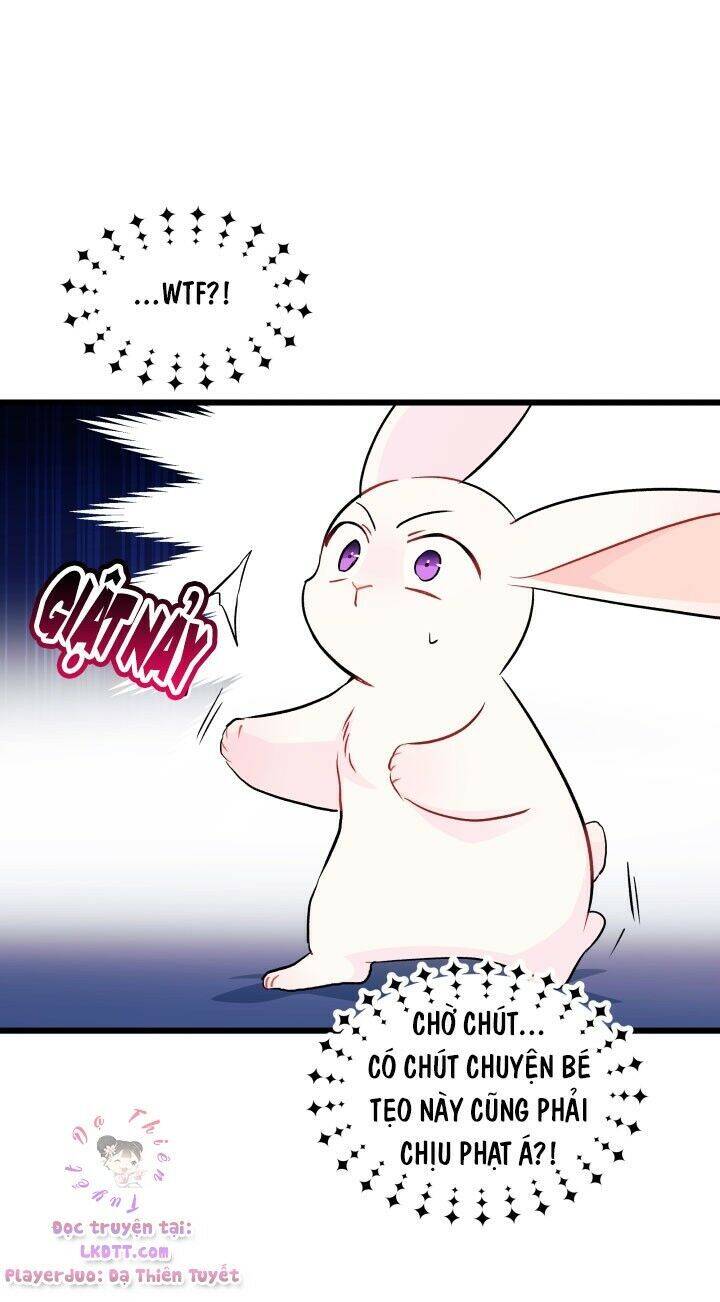 Mối Liên Kết Giữa Báo Đen Và Bé Thỏ Chap 25 - Next Chap 26