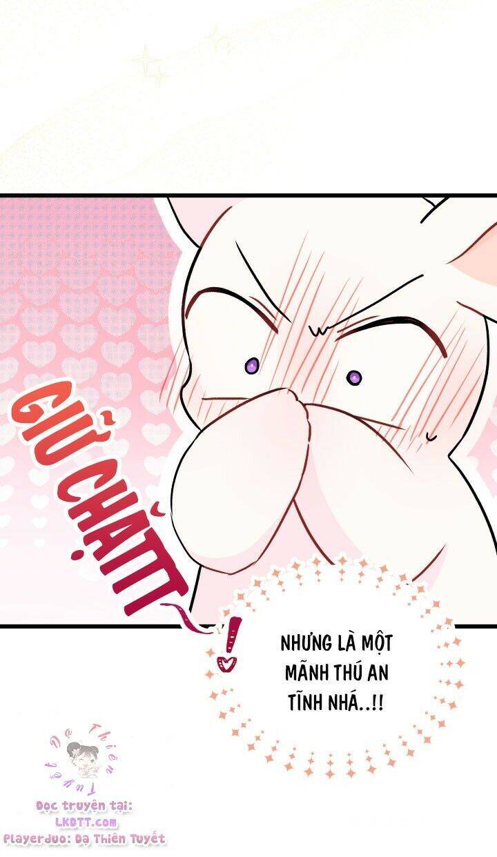 Mối Liên Kết Giữa Báo Đen Và Bé Thỏ Chap 25 - Next Chap 26