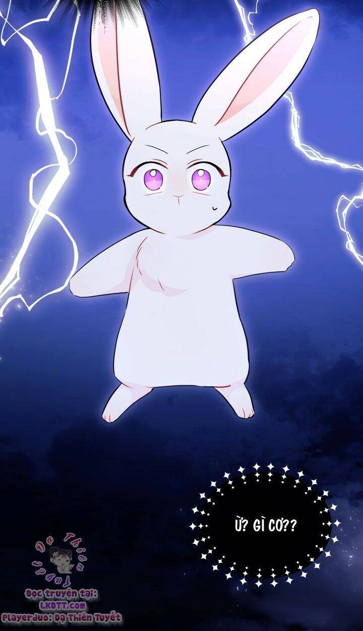 Mối Liên Kết Giữa Báo Đen Và Bé Thỏ Chap 25 - Next Chap 26