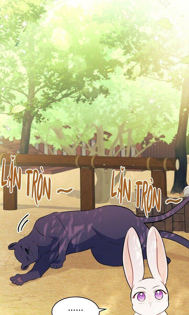 Mối Liên Kết Giữa Báo Đen Và Bé Thỏ Chap 26 - Next Chap 27