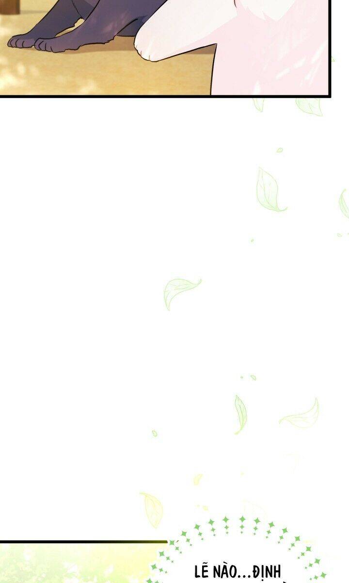 Mối Liên Kết Giữa Báo Đen Và Bé Thỏ Chap 26 - Next Chap 27