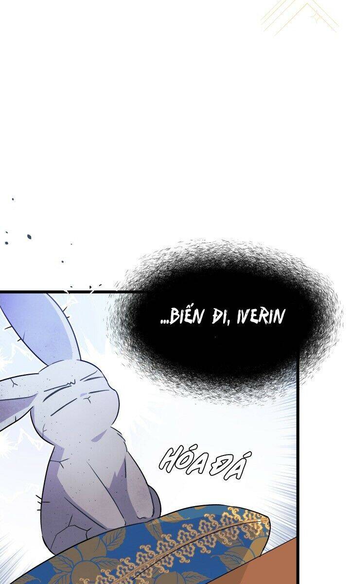 Mối Liên Kết Giữa Báo Đen Và Bé Thỏ Chap 26 - Next Chap 27