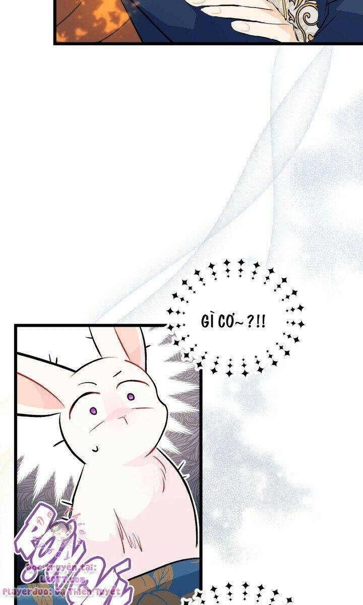 Mối Liên Kết Giữa Báo Đen Và Bé Thỏ Chap 26 - Next Chap 27