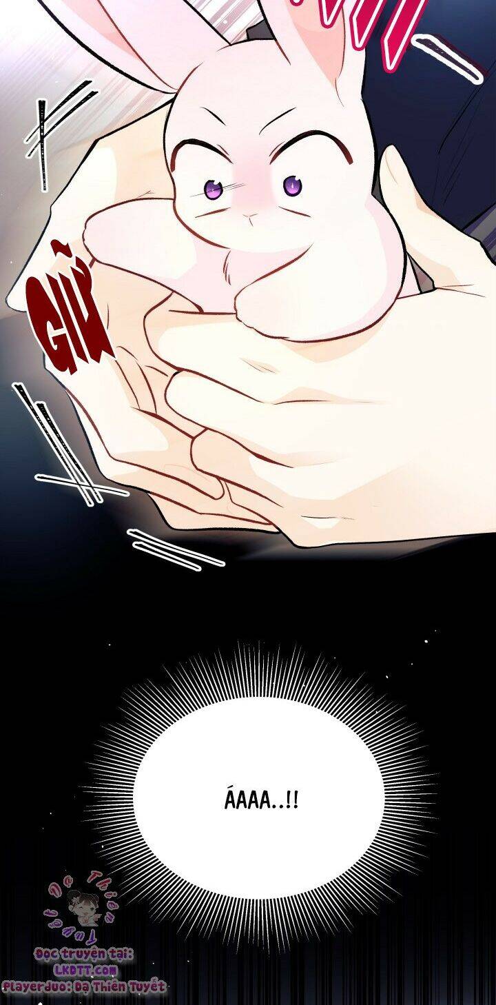 Mối Liên Kết Giữa Báo Đen Và Bé Thỏ Chap 26 - Next Chap 27