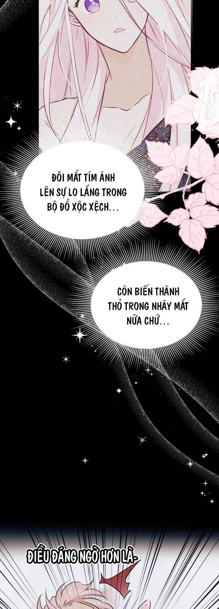 Mối Liên Kết Giữa Báo Đen Và Bé Thỏ Chap 26 - Next Chap 27