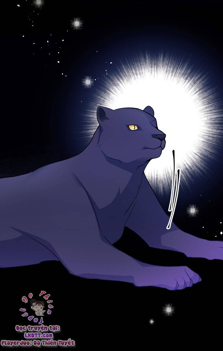 Mối Liên Kết Giữa Báo Đen Và Bé Thỏ Chap 27 - Next Chap 28