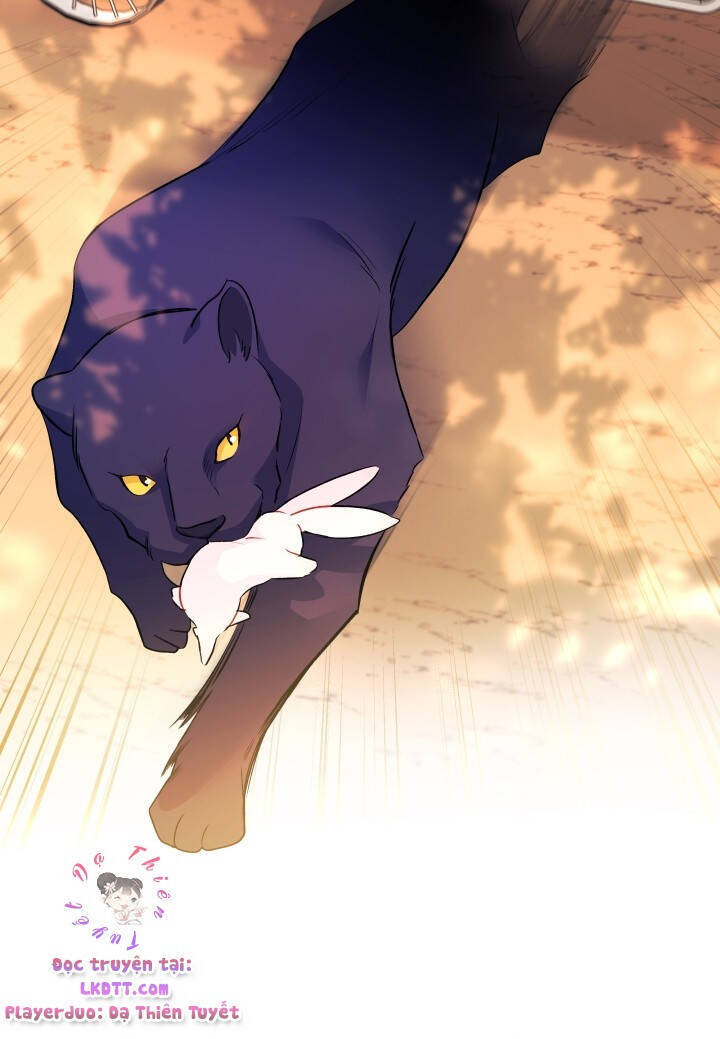 Mối Liên Kết Giữa Báo Đen Và Bé Thỏ Chap 27 - Next Chap 28