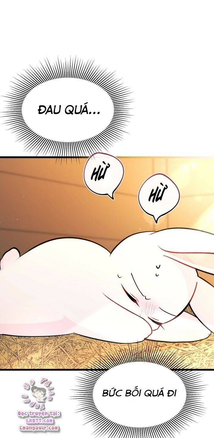 Mối Liên Kết Giữa Báo Đen Và Bé Thỏ Chap 28 - Next Chap 29
