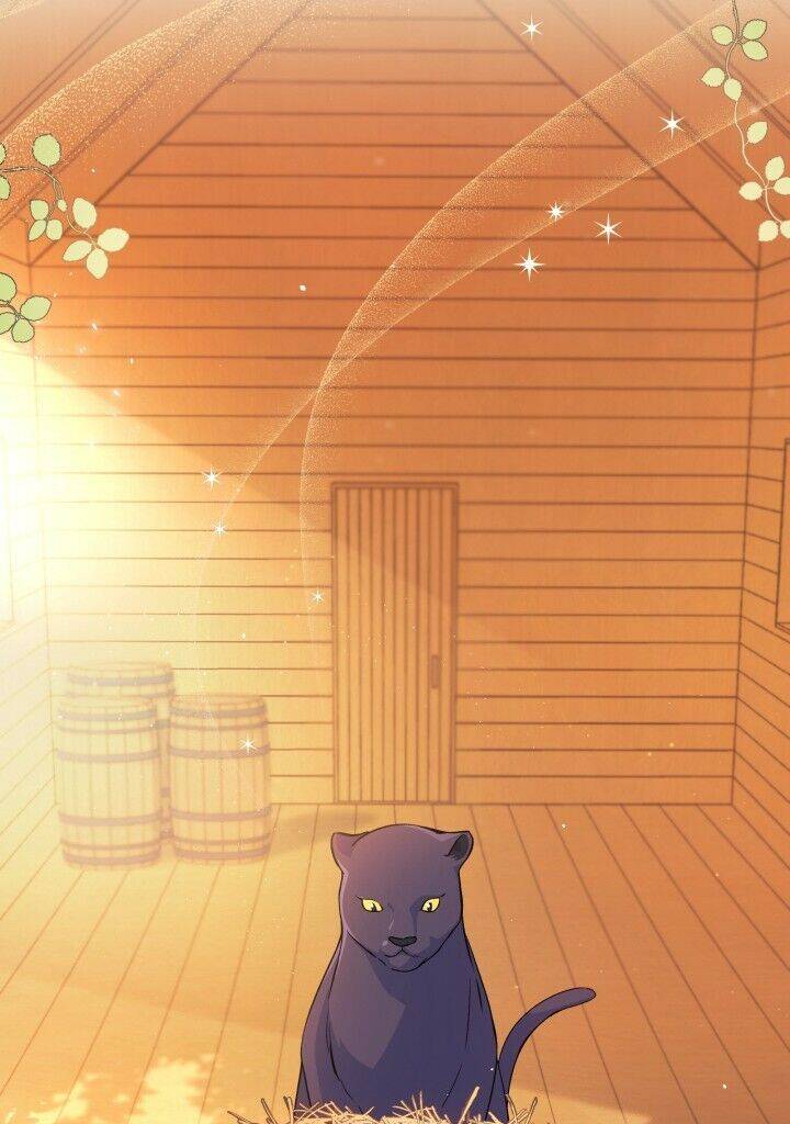 Mối Liên Kết Giữa Báo Đen Và Bé Thỏ Chap 28 - Next Chap 29