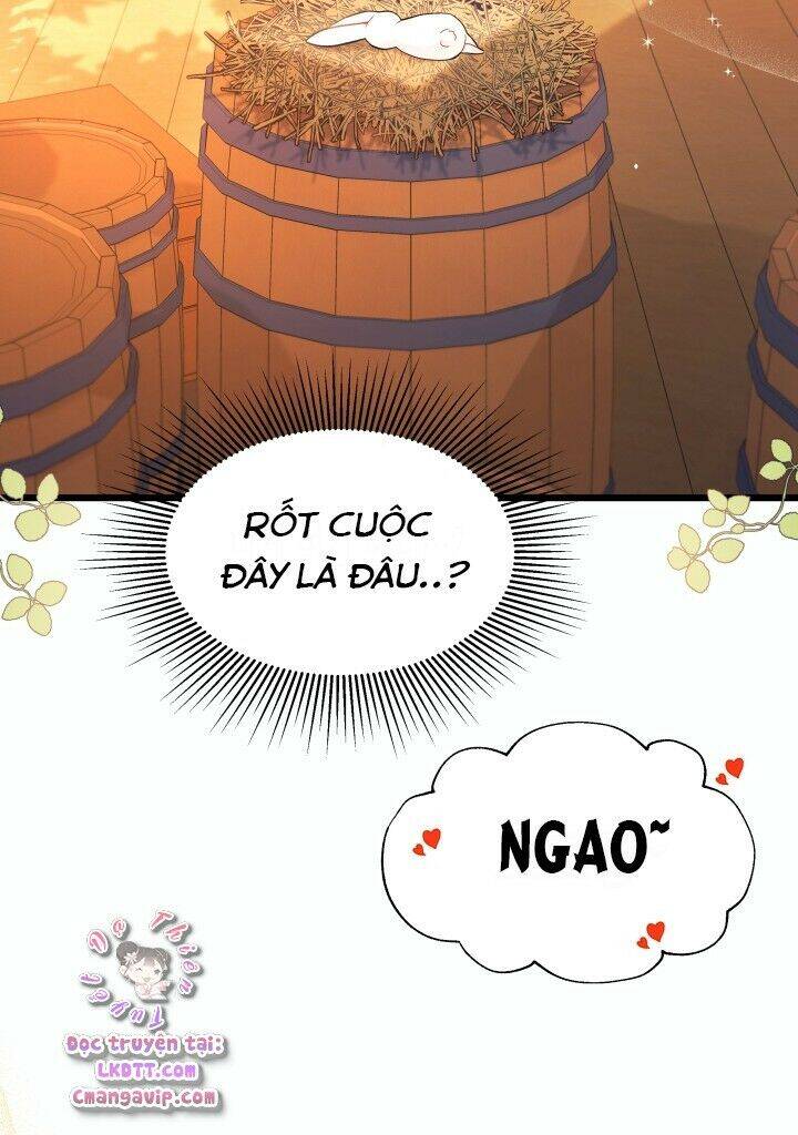 Mối Liên Kết Giữa Báo Đen Và Bé Thỏ Chap 28 - Next Chap 29