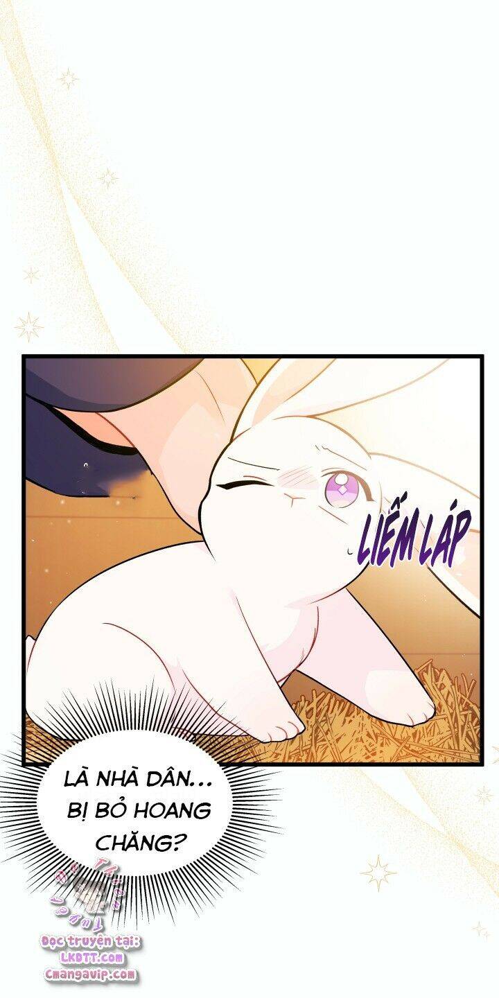 Mối Liên Kết Giữa Báo Đen Và Bé Thỏ Chap 28 - Next Chap 29