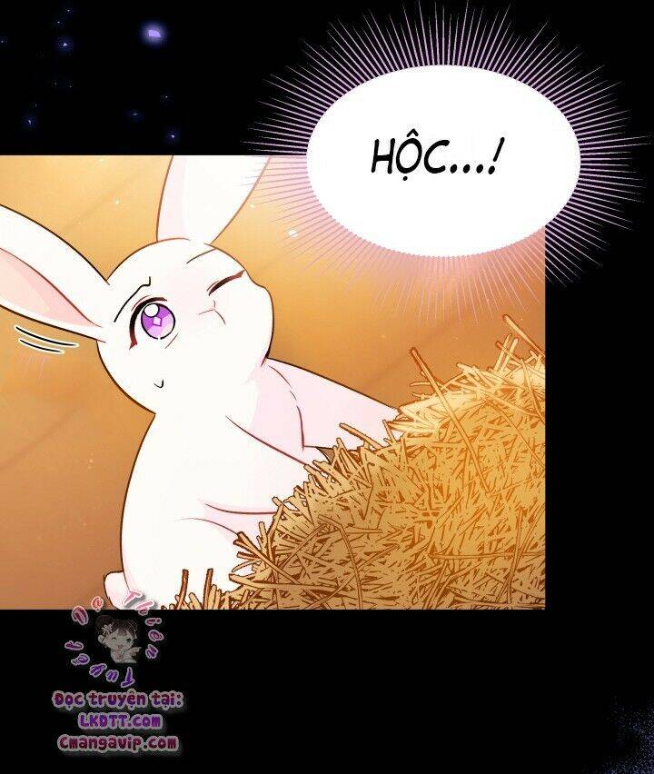 Mối Liên Kết Giữa Báo Đen Và Bé Thỏ Chap 28 - Next Chap 29