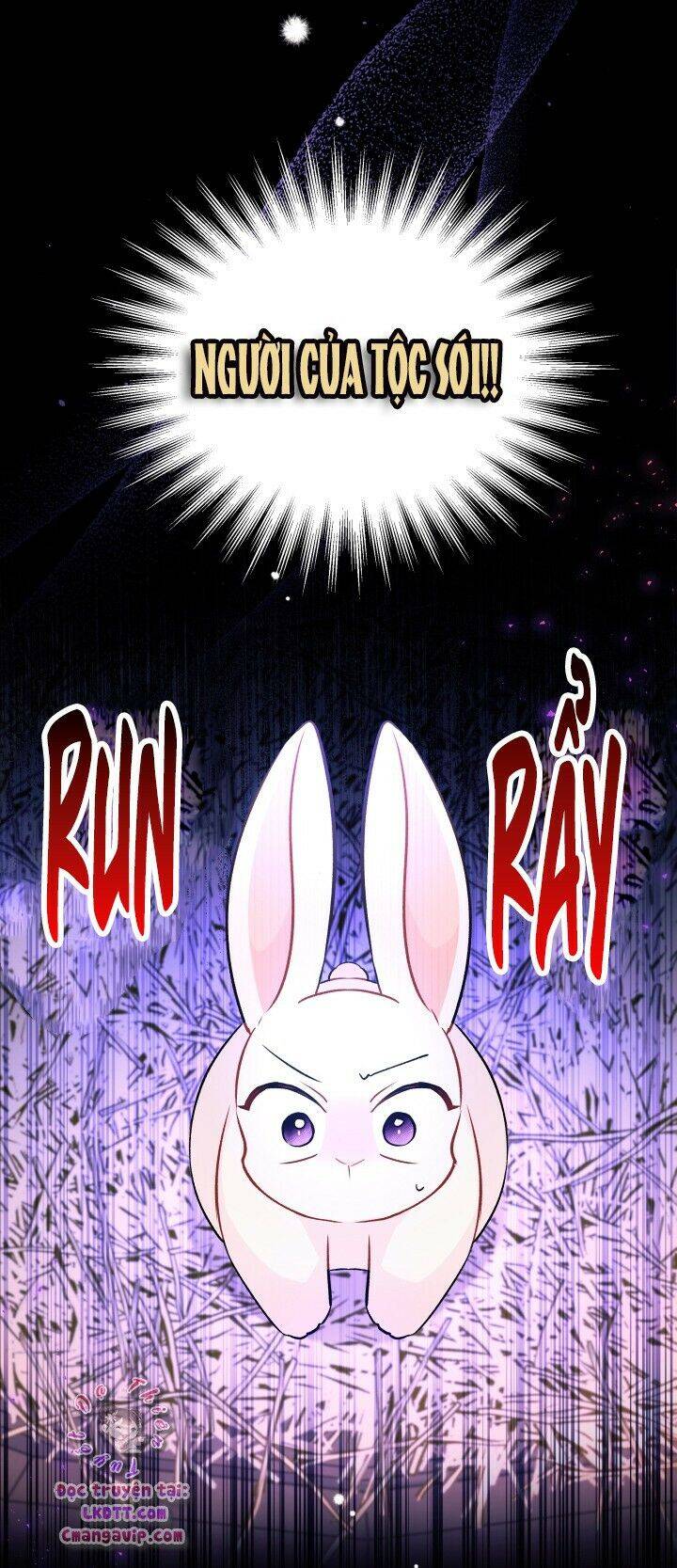 Mối Liên Kết Giữa Báo Đen Và Bé Thỏ Chap 28 - Next Chap 29