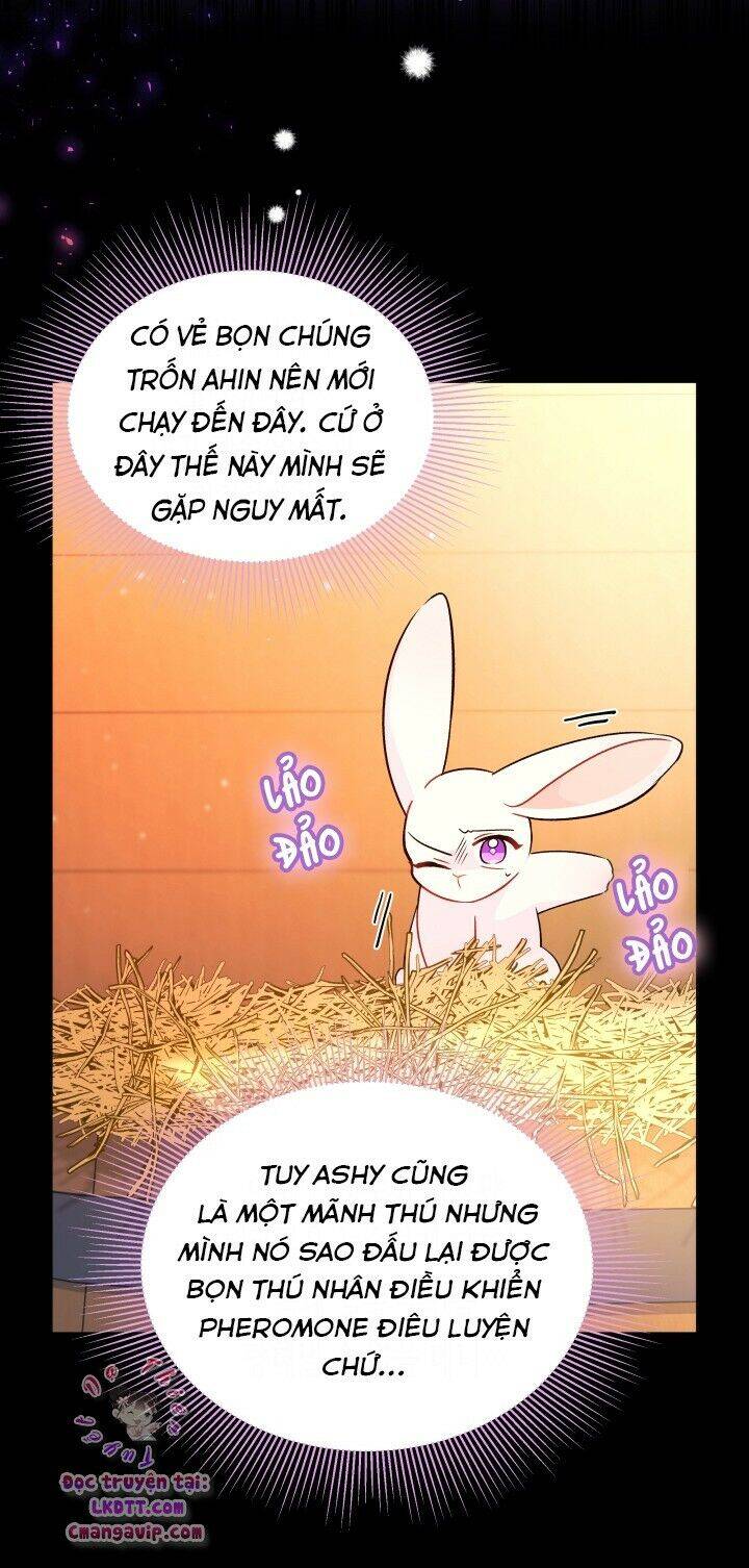 Mối Liên Kết Giữa Báo Đen Và Bé Thỏ Chap 28 - Next Chap 29