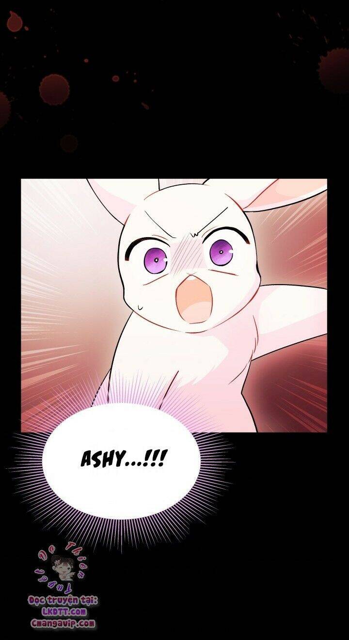 Mối Liên Kết Giữa Báo Đen Và Bé Thỏ Chap 28 - Next Chap 29