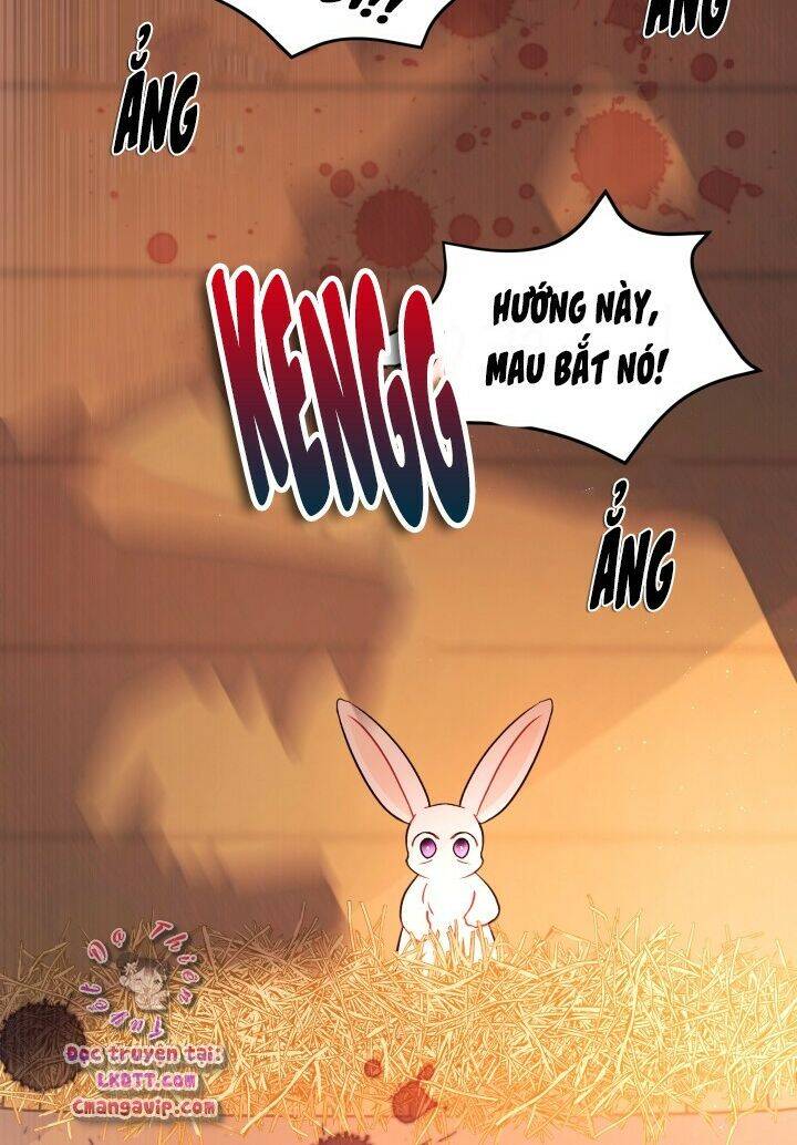 Mối Liên Kết Giữa Báo Đen Và Bé Thỏ Chap 28 - Next Chap 29