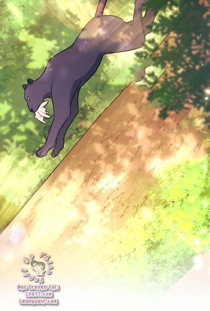 Mối Liên Kết Giữa Báo Đen Và Bé Thỏ Chap 28 - Next Chap 29