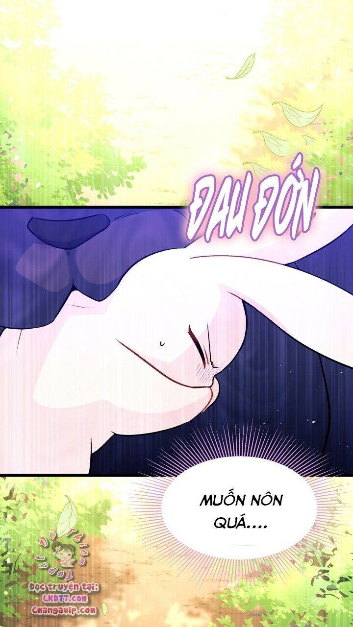 Mối Liên Kết Giữa Báo Đen Và Bé Thỏ Chap 28 - Next Chap 29