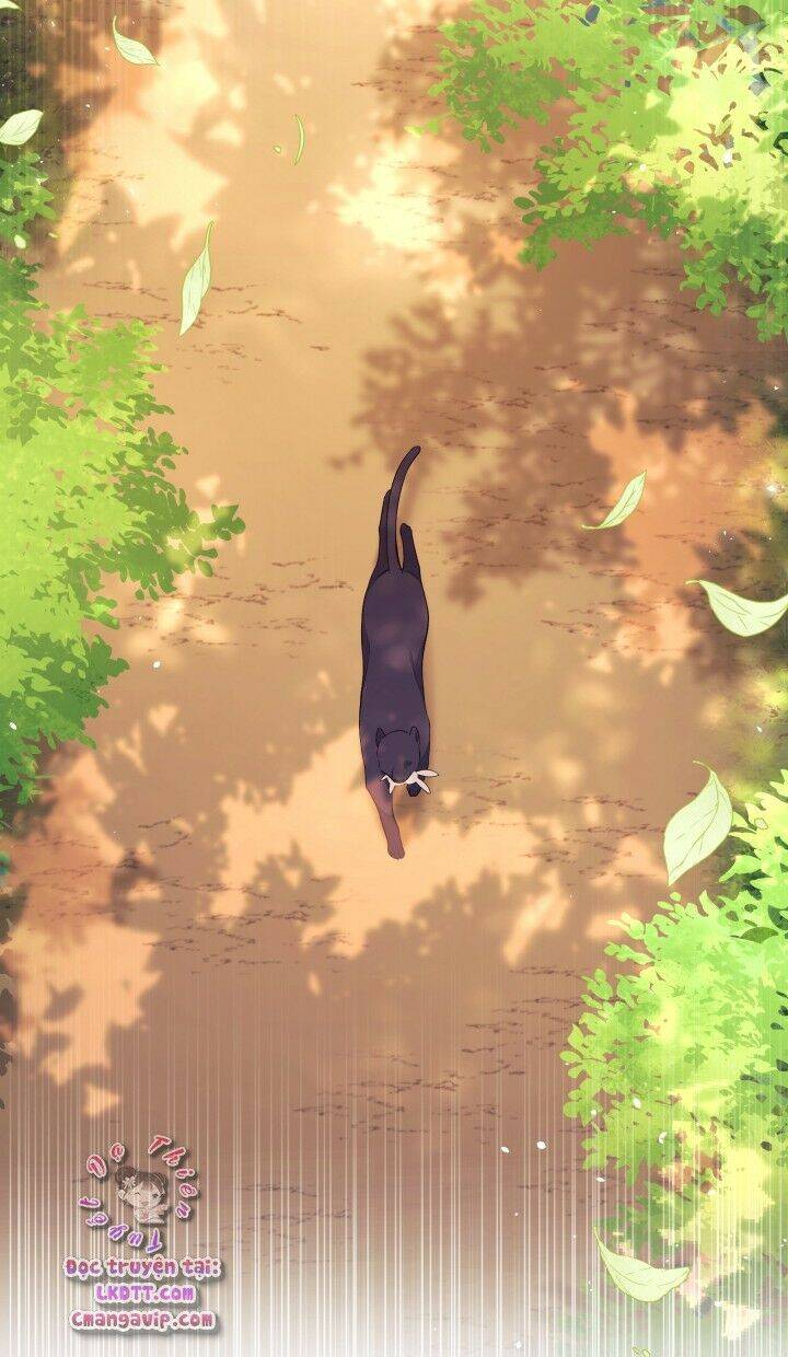 Mối Liên Kết Giữa Báo Đen Và Bé Thỏ Chap 28 - Next Chap 29