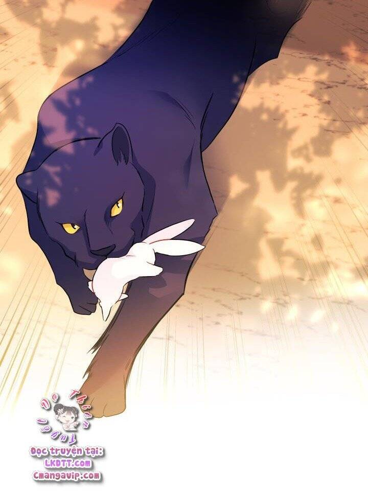 Mối Liên Kết Giữa Báo Đen Và Bé Thỏ Chap 29 - Next Chap 30
