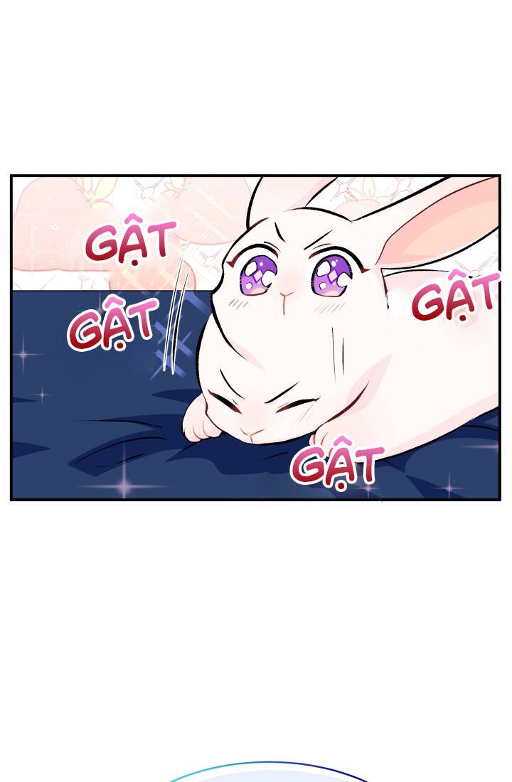 Mối Liên Kết Giữa Báo Đen Và Bé Thỏ Chap 3 - Next Chap 4