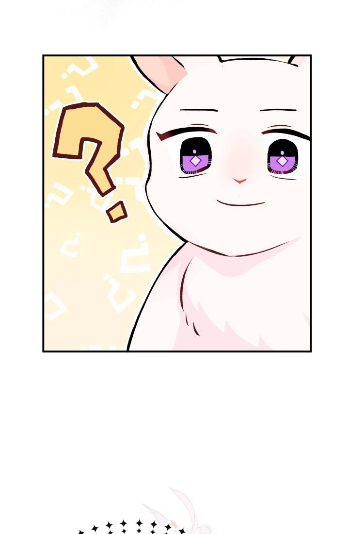 Mối Liên Kết Giữa Báo Đen Và Bé Thỏ Chap 3 - Next Chap 4