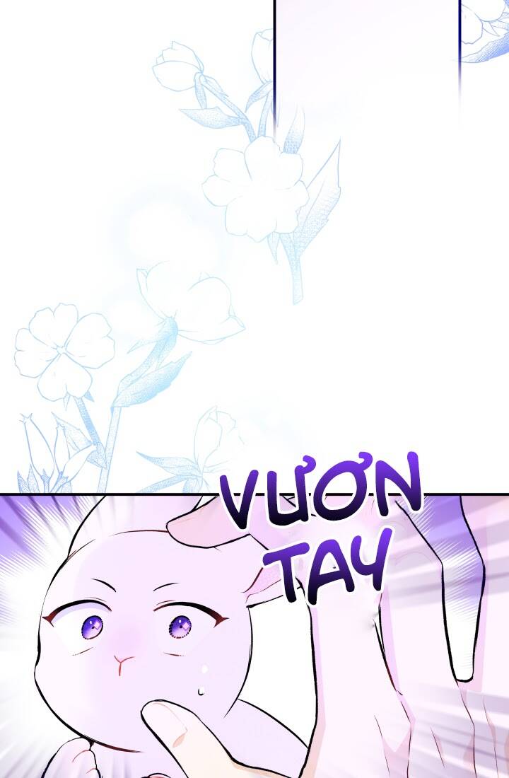 Mối Liên Kết Giữa Báo Đen Và Bé Thỏ Chap 3 - Next Chap 4