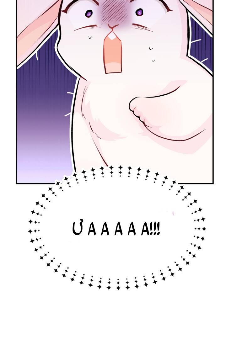 Mối Liên Kết Giữa Báo Đen Và Bé Thỏ Chap 3 - Next Chap 4